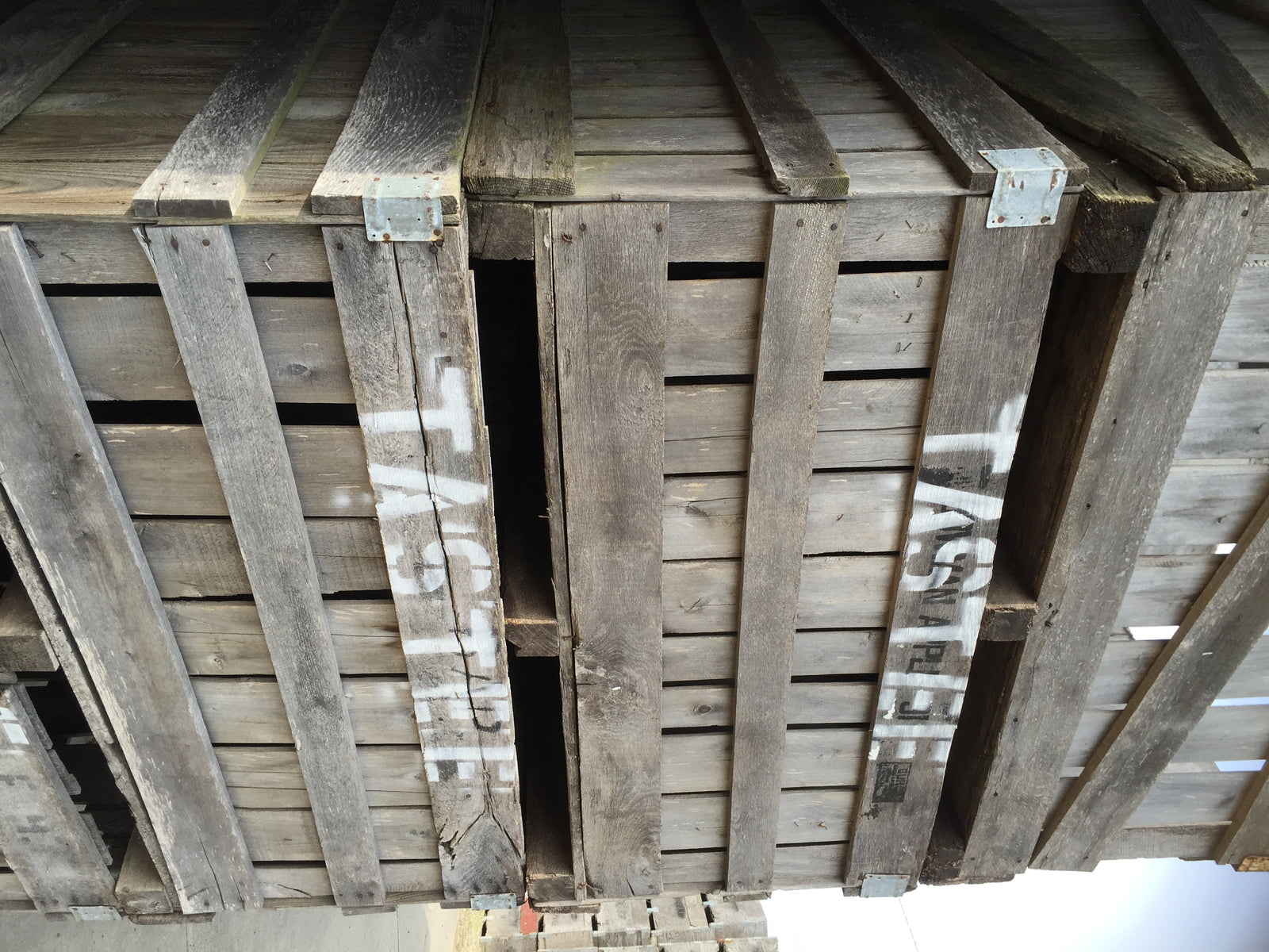 Filling Our Apple Crates