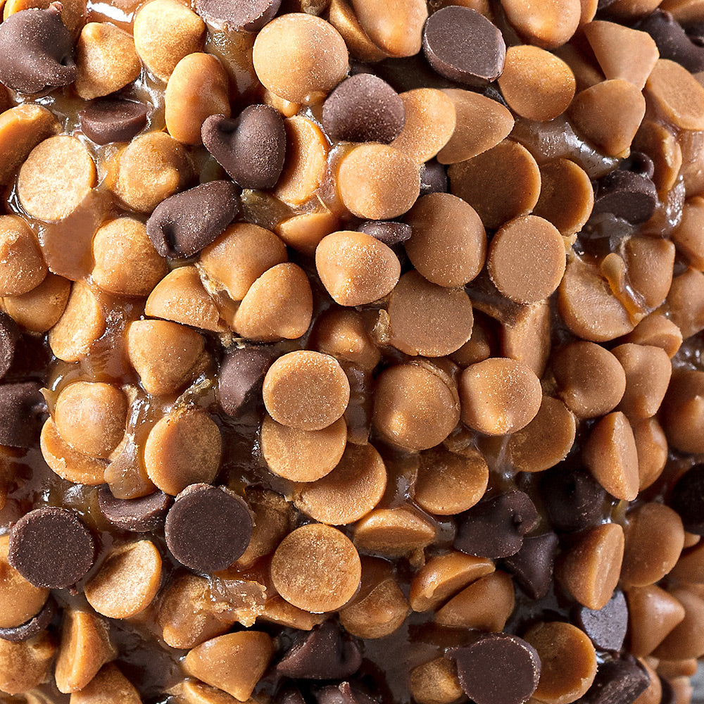 Chocolate Peanut Butter Apples